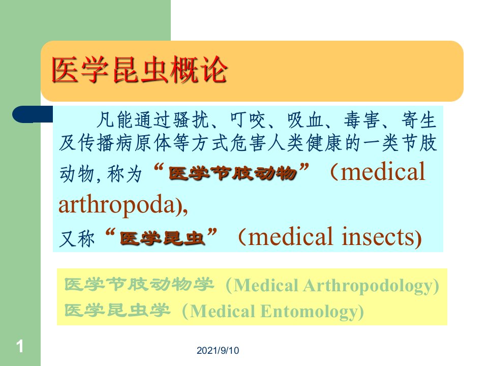 医学昆虫及节肢动物知识的概述培训课件