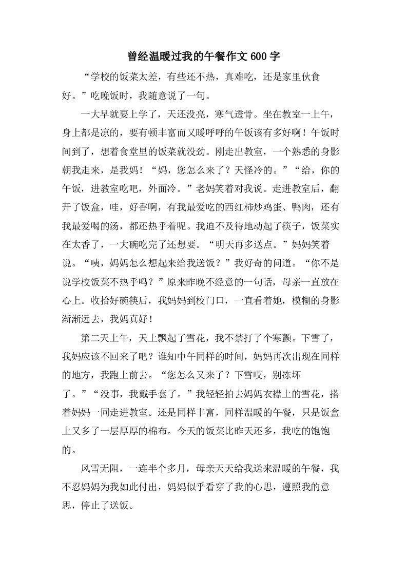 曾经温暖过我的午餐作文600字