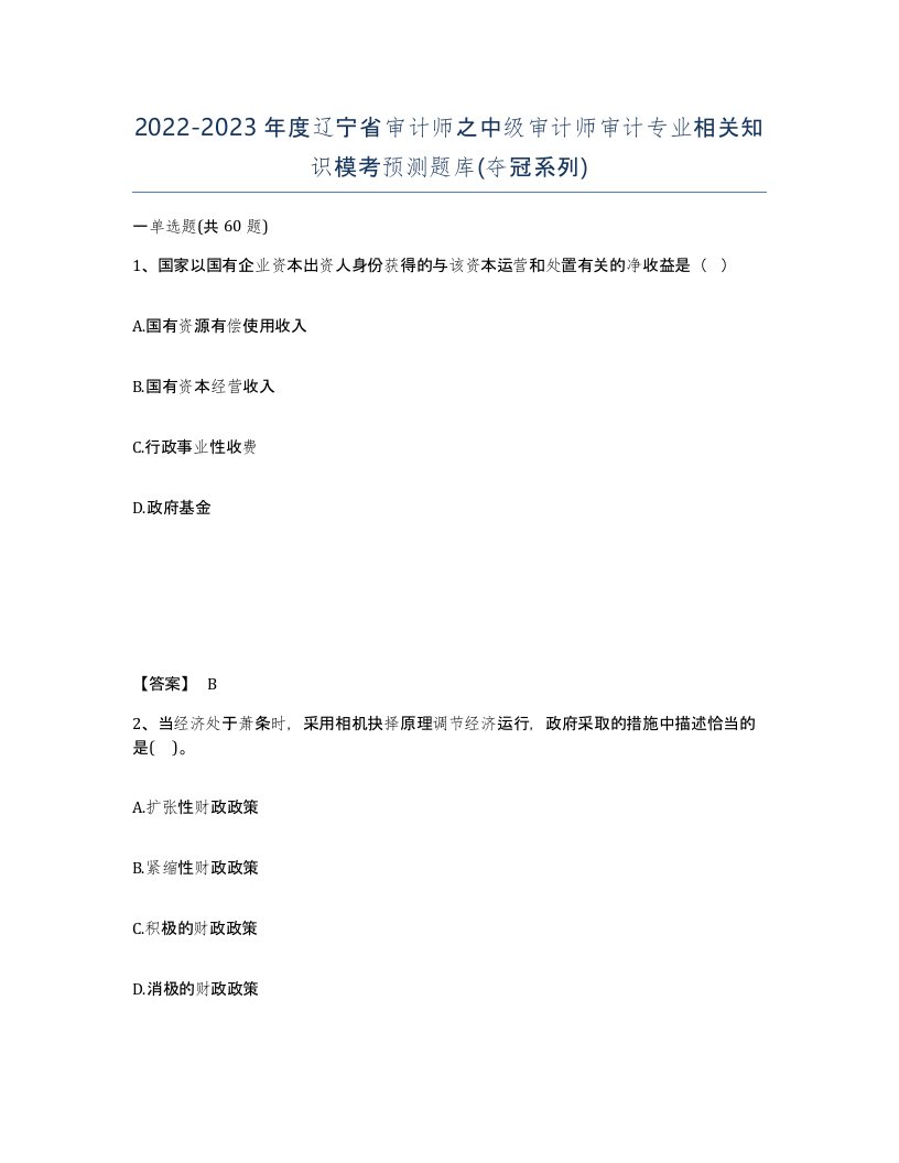 2022-2023年度辽宁省审计师之中级审计师审计专业相关知识模考预测题库夺冠系列