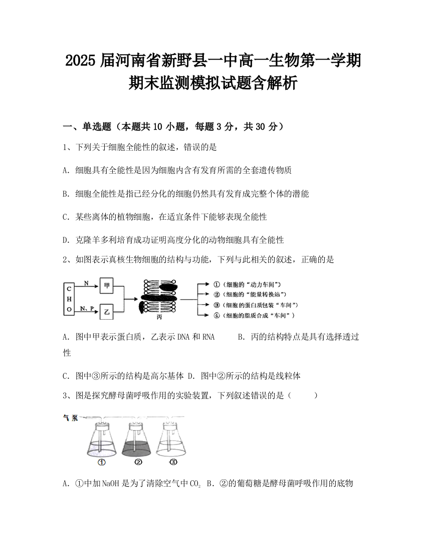 2025届河南省新野县一中高一生物第一学期期末监测模拟试题含解析