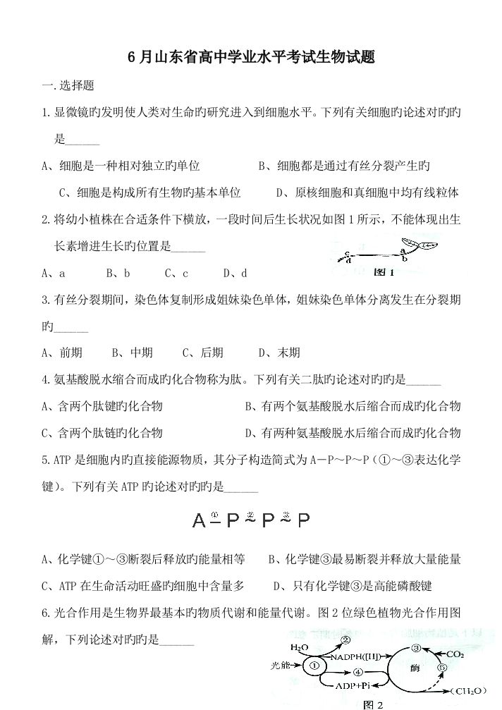 2023年山东省夏季普通高中学业水平考试会考生物试题及答案精较版