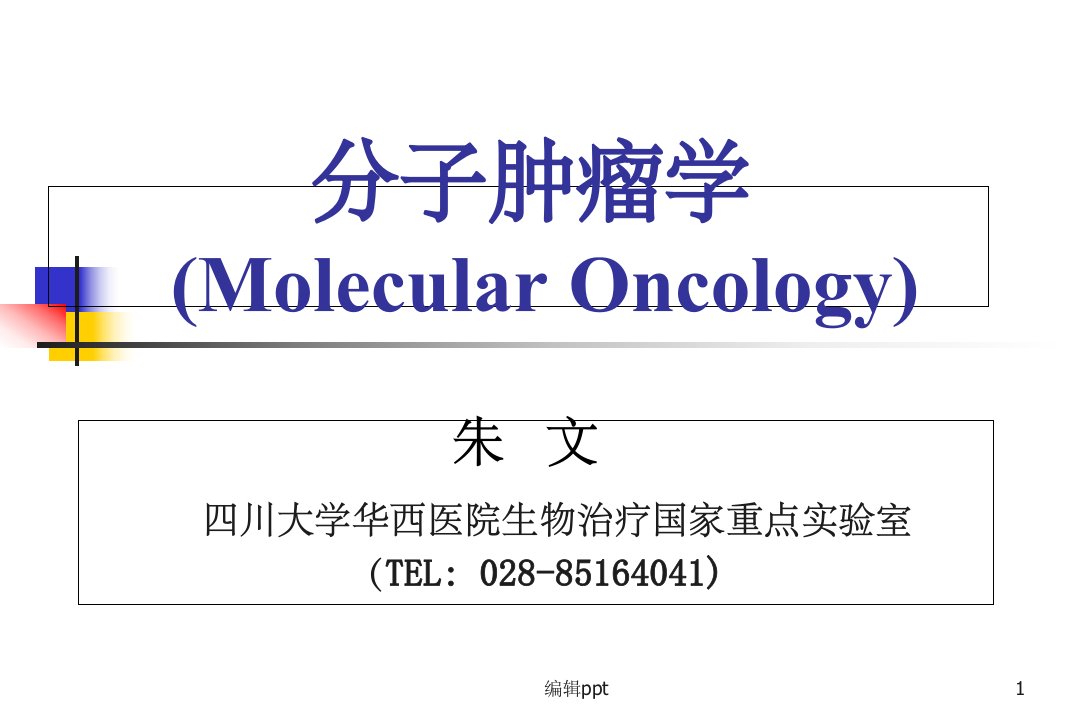 肿瘤分子生物学课件