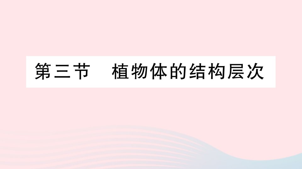 2023七年级生物上册第二单元生物体的结构层次第二章细胞怎样构成生物体第三节植物体的结构层次作业课件新版新人教版