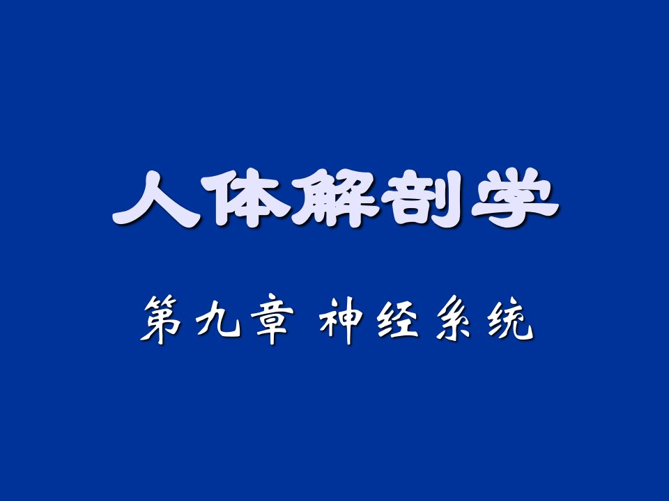 人体解剖学第九章神经系统周围神经系统