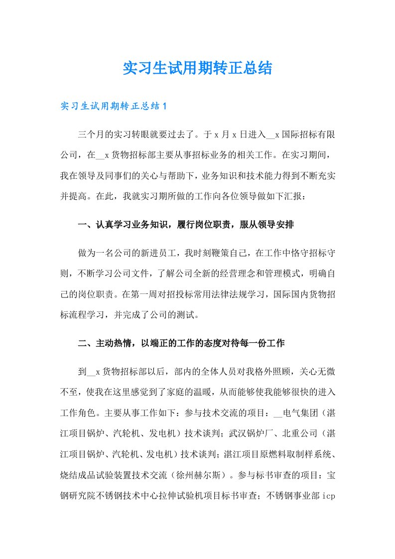 实习生试用期转正总结