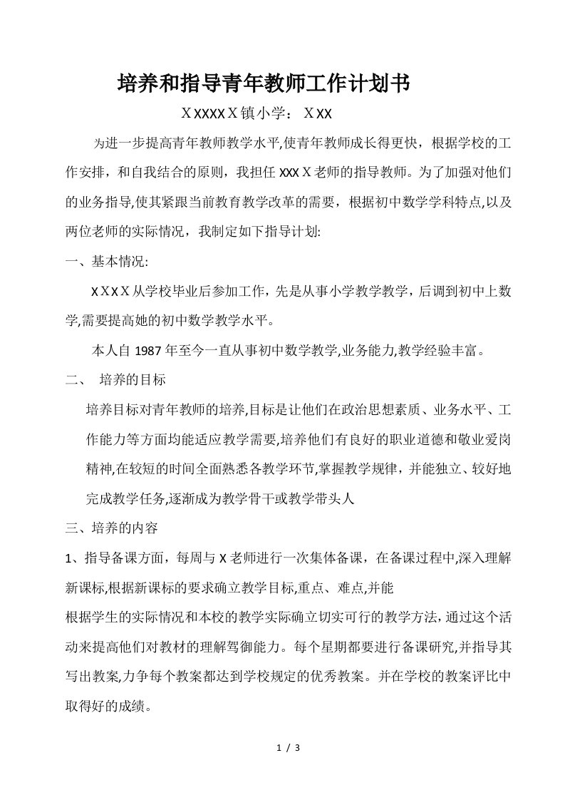 指导青年教师计划