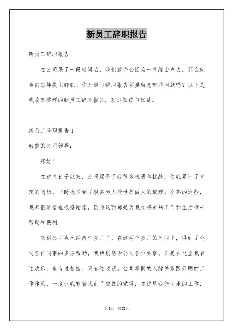 新员工辞职报告例文1