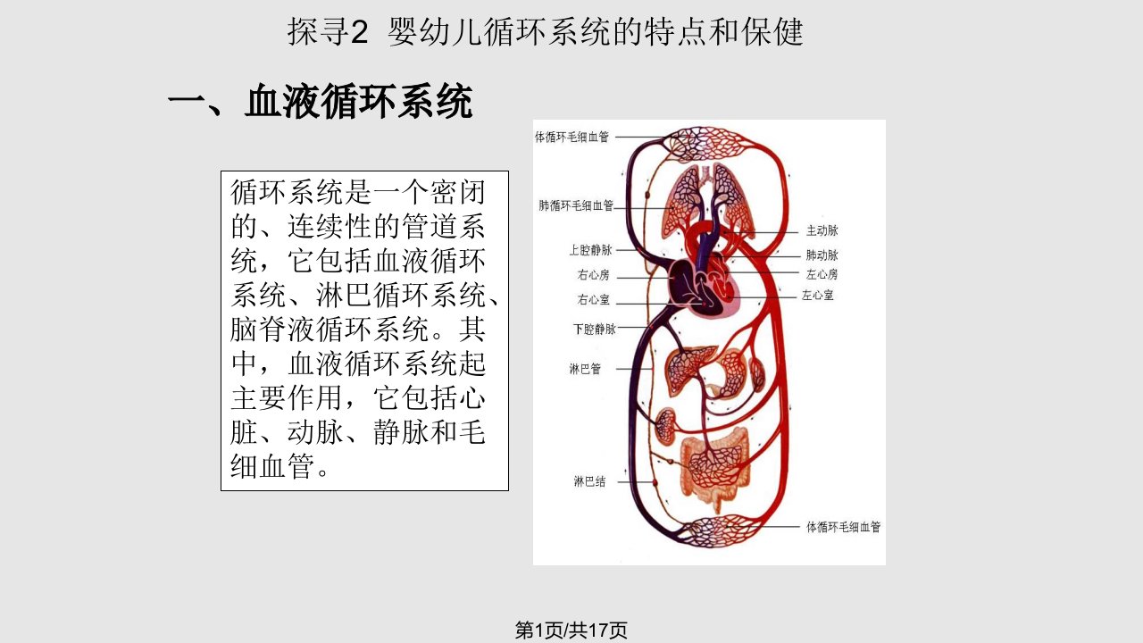 学前卫生学循环系统PPT