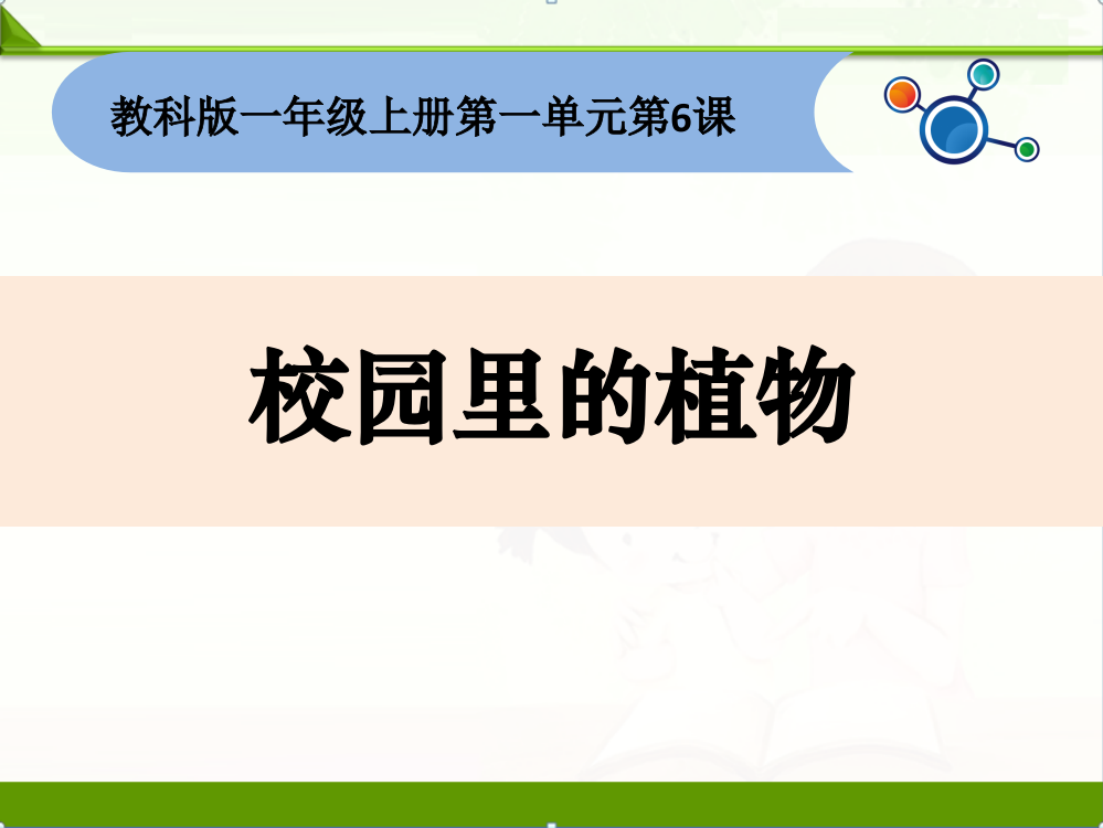 教科版一年级科学上册课件：16校园里的植物-新教材