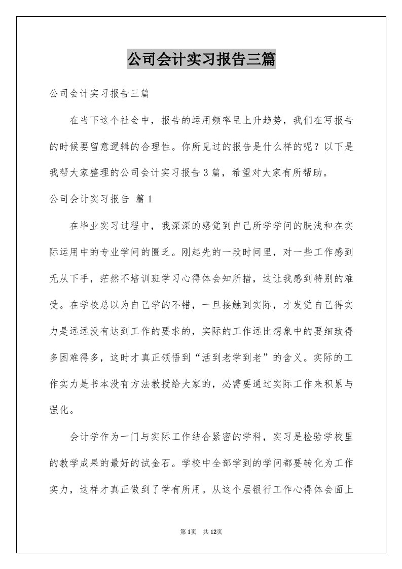 公司会计实习报告三篇例文