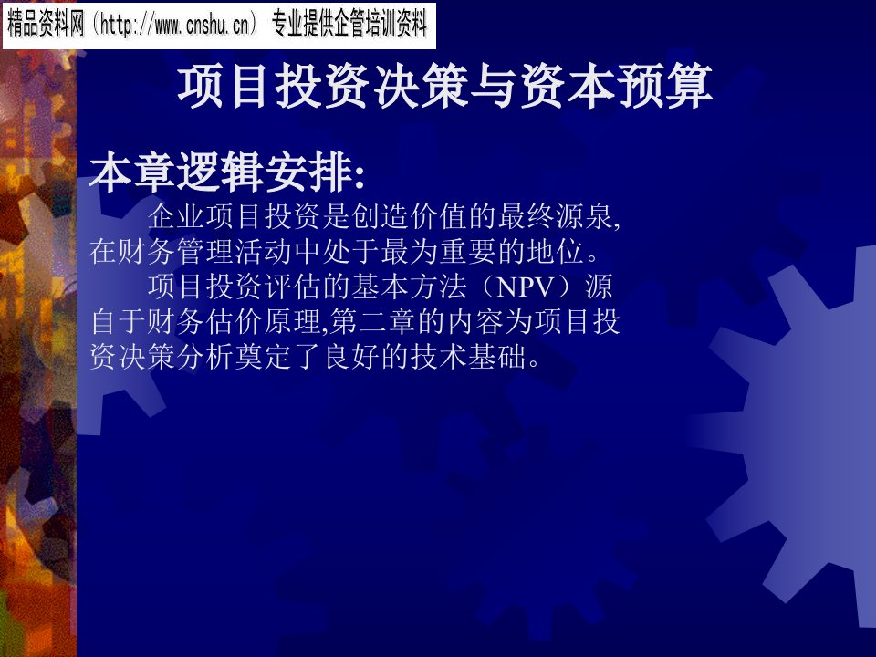 项目投资决策与资本预算（PPT44页）