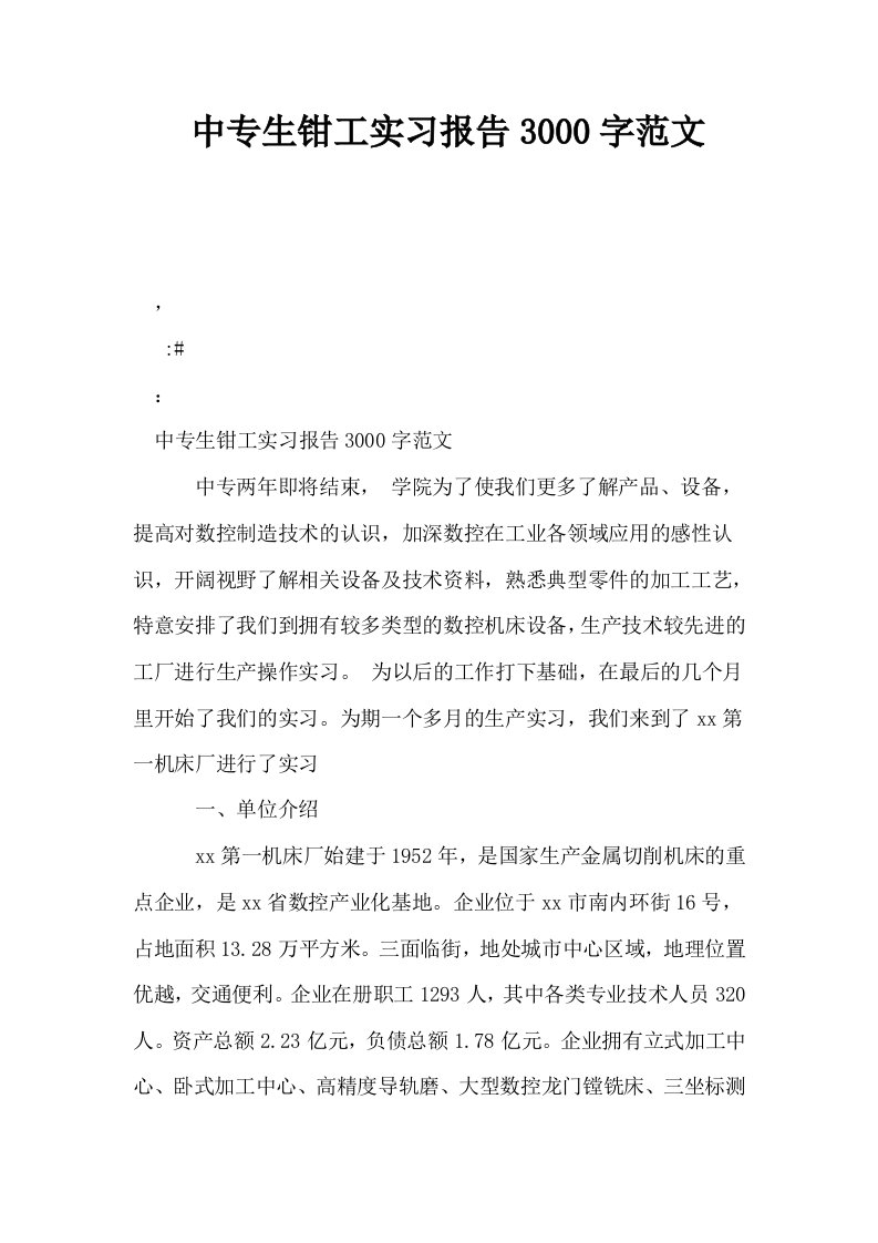 中专生钳工实习报告3000字范文