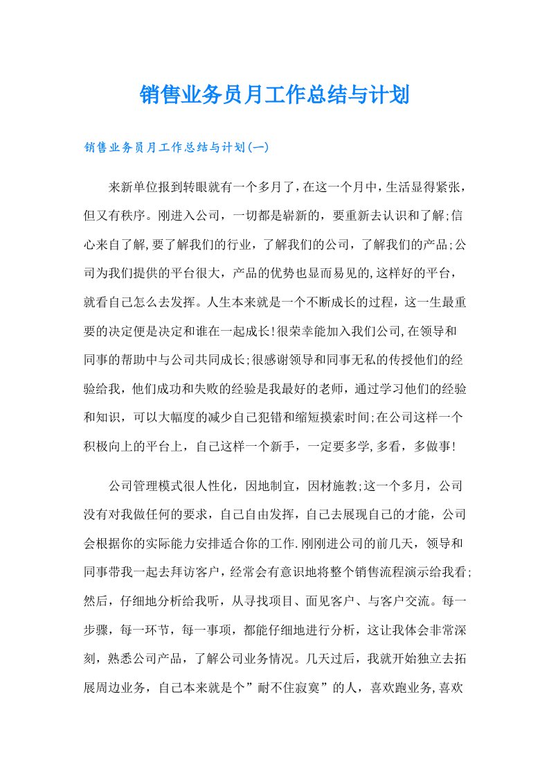 销售业务员月工作总结与计划