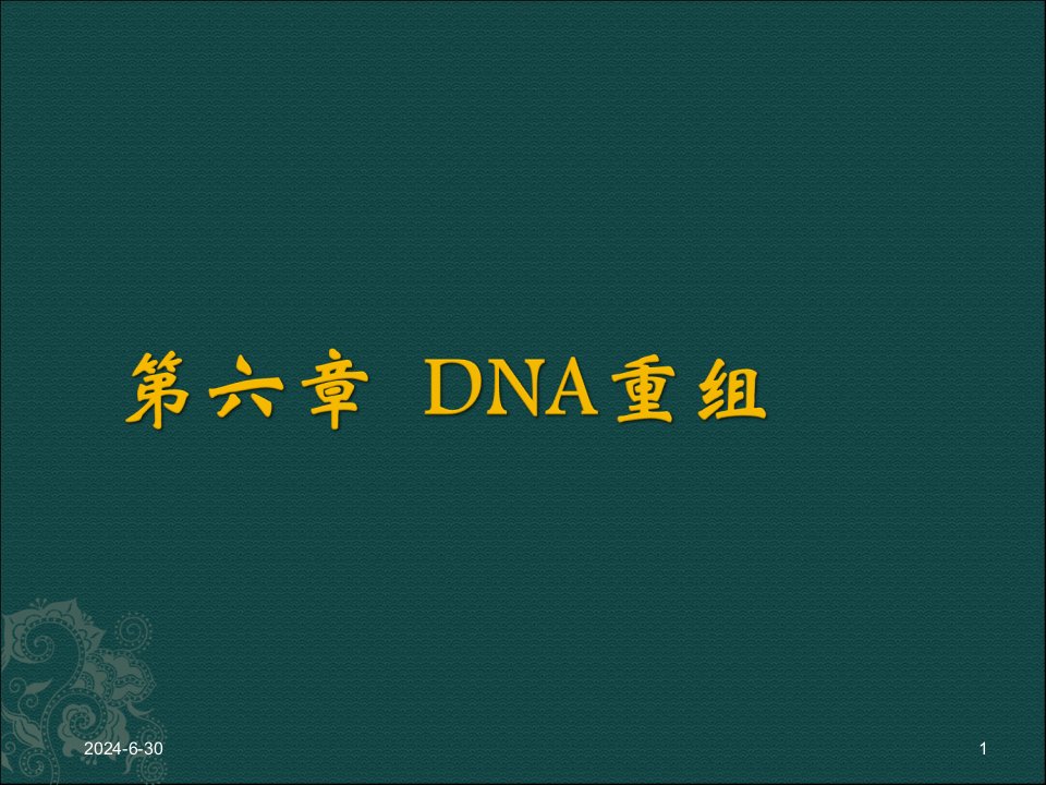 6-DNA重组