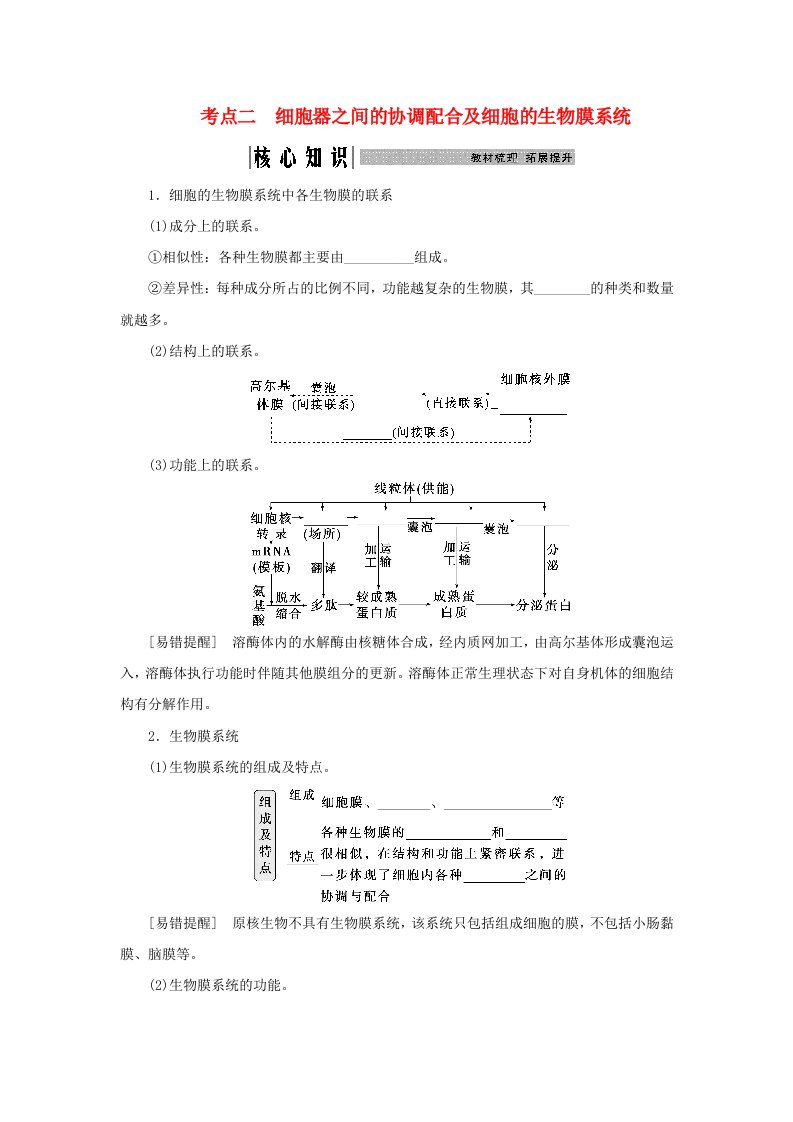 2025届高考生物一轮总复习学生用书必修1第二单元细胞的结构和物质运输第5讲细胞器与生物膜系统考点二细胞器之间的协调配合及细胞的生物膜系统