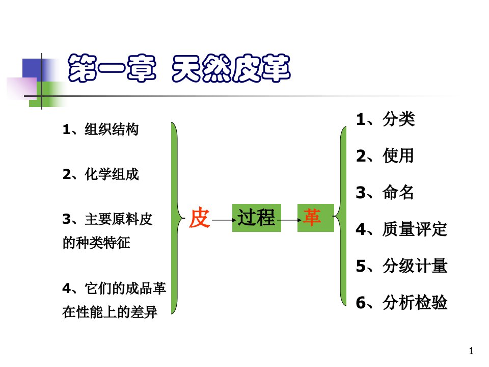 最新常用原料皮的分类及特征PPT课件