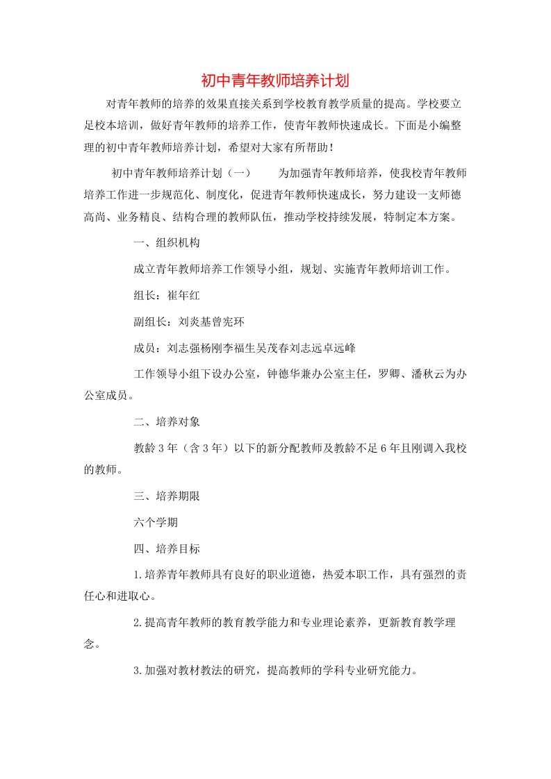 初中青年教师培养计划