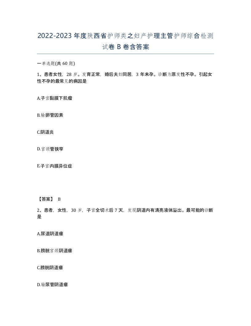 2022-2023年度陕西省护师类之妇产护理主管护师综合检测试卷B卷含答案