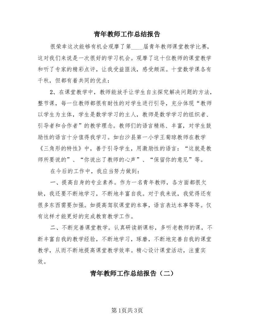 青年教师工作总结报告（2篇）