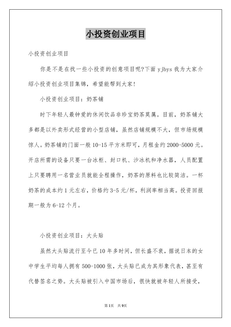 小投资创业项目例文