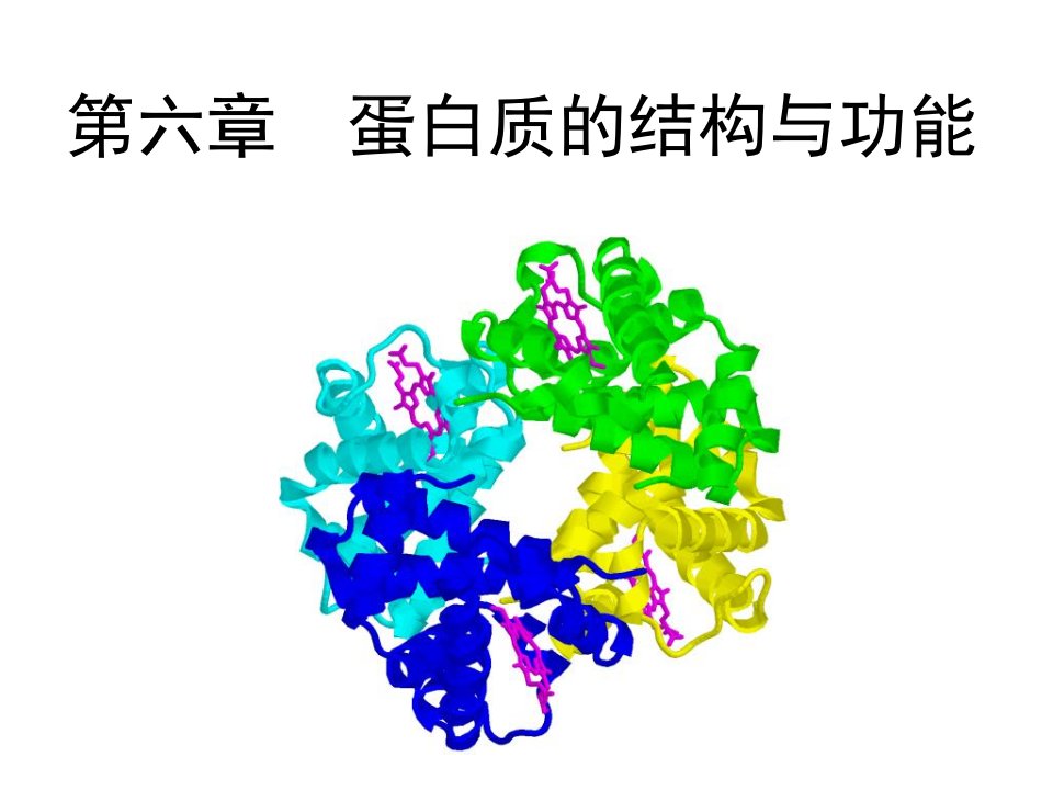 蛋白质结构与功能