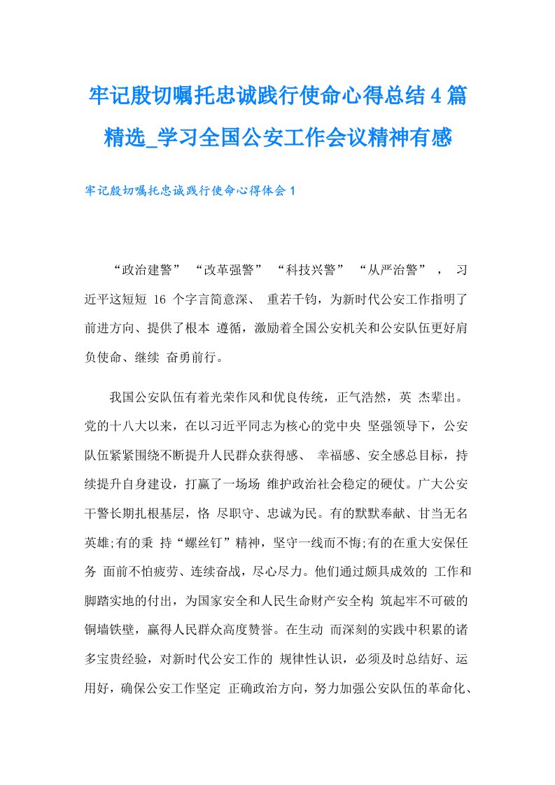 牢记殷切嘱托忠诚践行使命心得总结4篇精选_学习全国公安工作会议精神有感