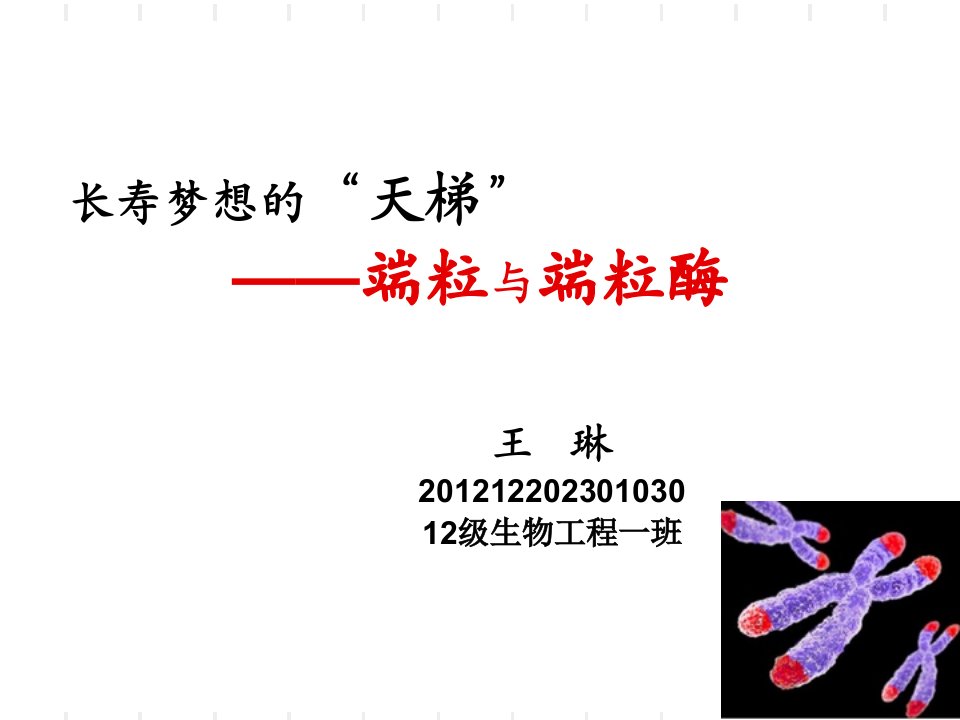 端粒与端粒酶—王琳