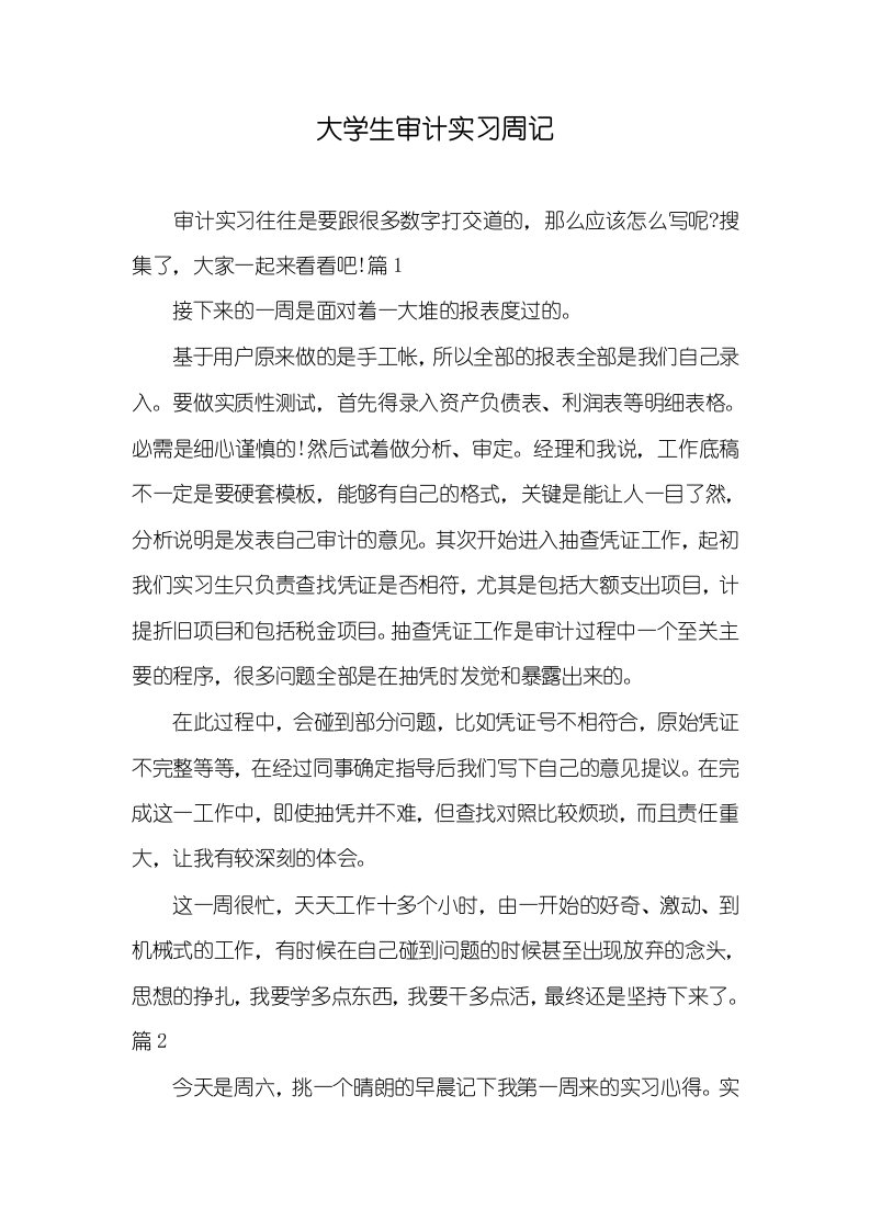 大学生审计实习周记