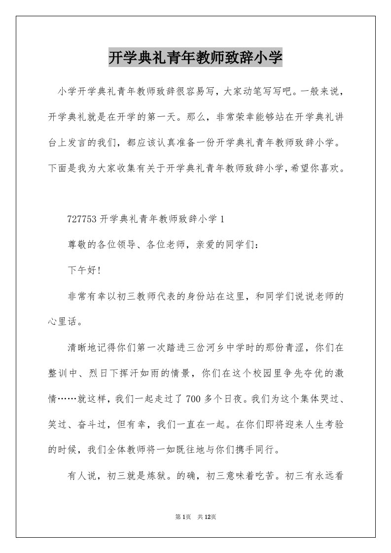 开学典礼青年教师致辞小学