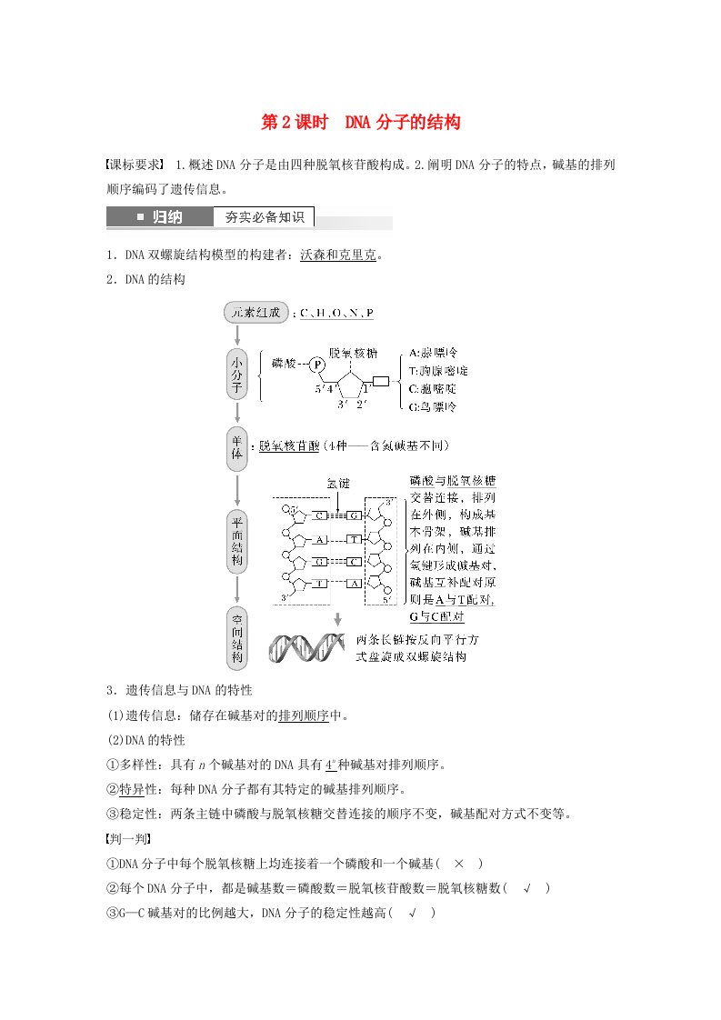 2024届高考生物一轮复习教案第六单元遗传的分子基础第2课时DNA分子的结构苏教版