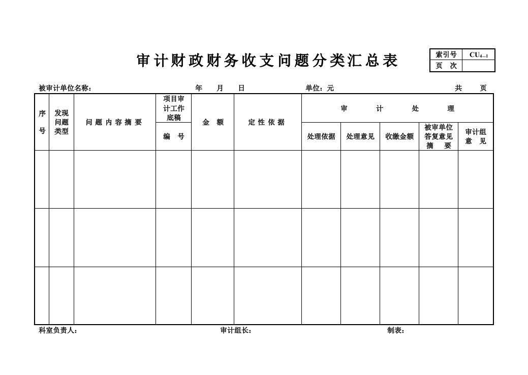 审计财政财务收支问题分类汇总表