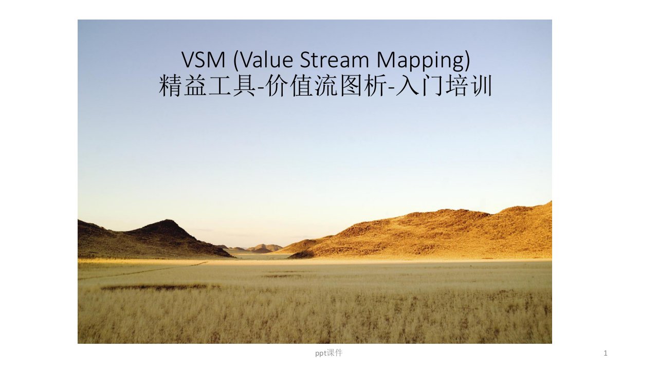 VSM