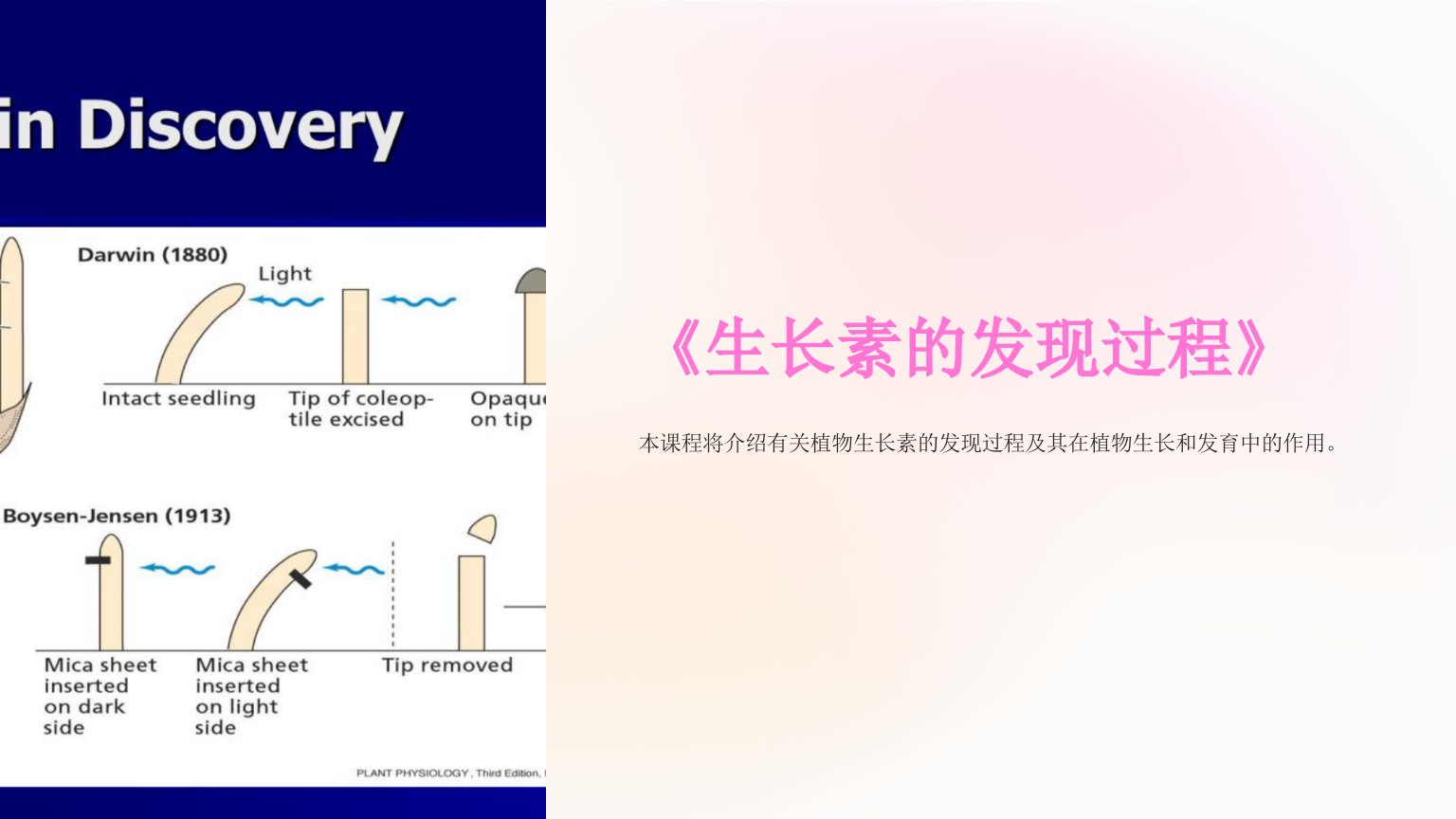 《生长素的发现过程》课件