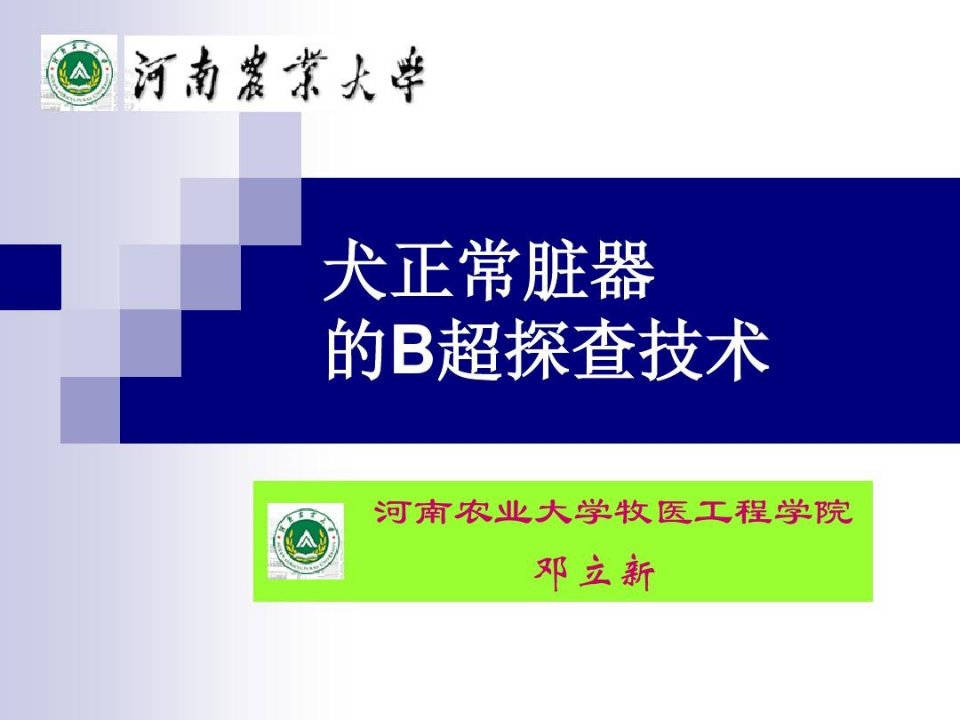 犬正常脏器的B超探察技术