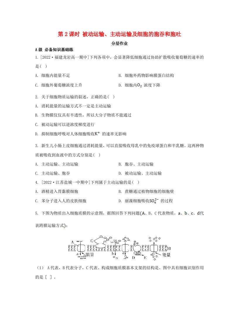 江苏专版2023_2024学年新教材高中生物第二章细胞的结构和生命活动第三节物质进出细胞的运输方式第2课时被动运输主动运输及细胞的胞吞和胞吐分层作业苏教版必修1