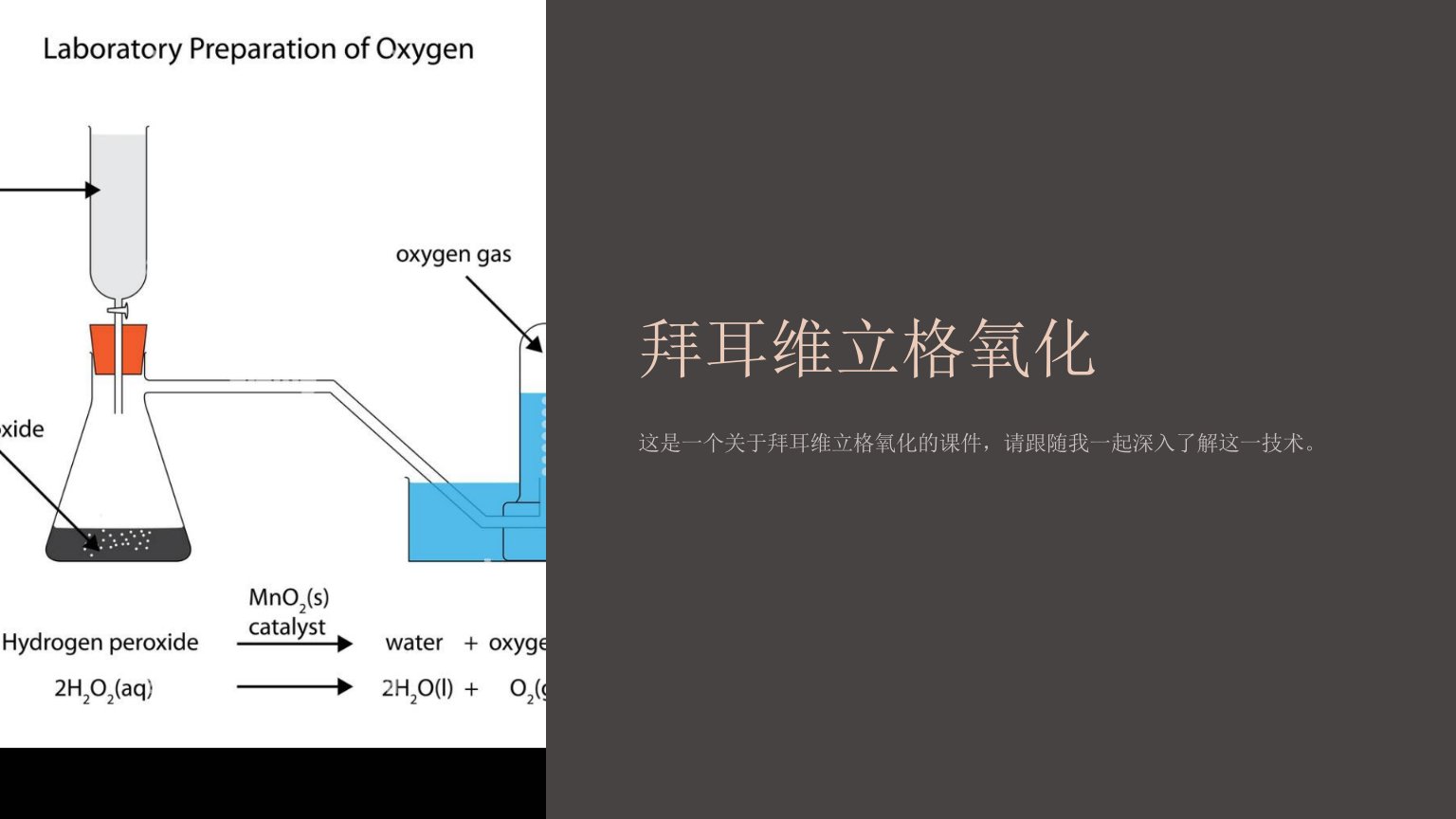 《拜耳维立格氧化》课件