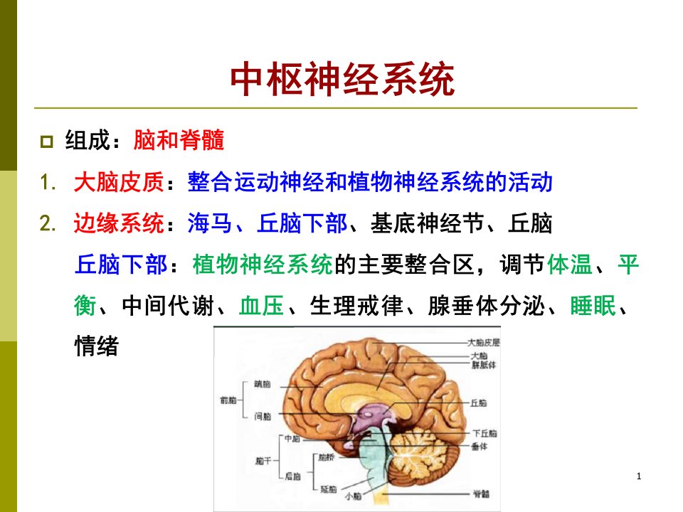 4第三章中枢神经系统药理陈海兰