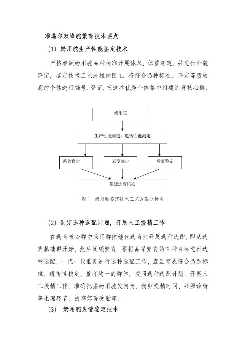 准葛尔双峰驼繁育技术要点