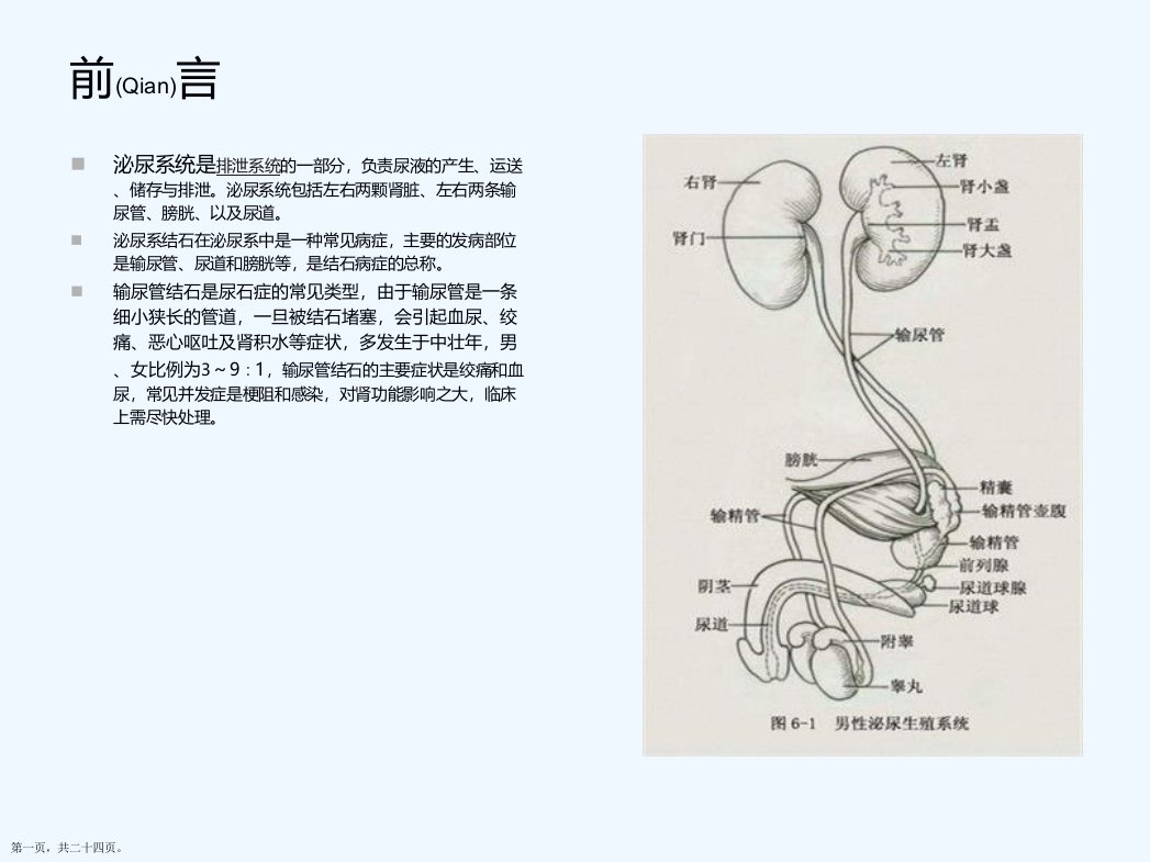 输尿管结石患者的护理查房