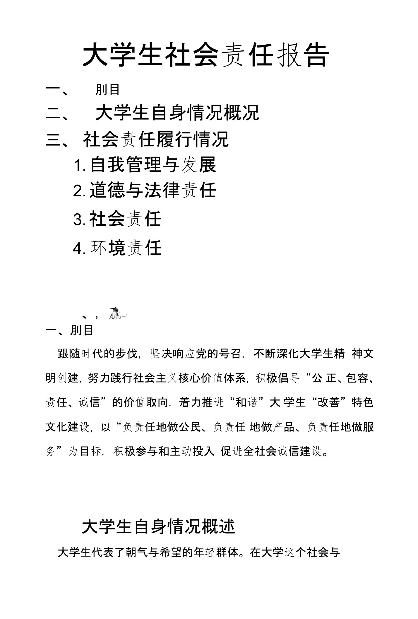 大学生社会责任报告