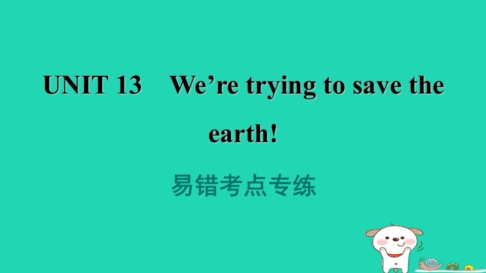 2024九年级英语全册Unit13We'retryingtosavetheearth易错考点专练习题课件新版人教新目标版