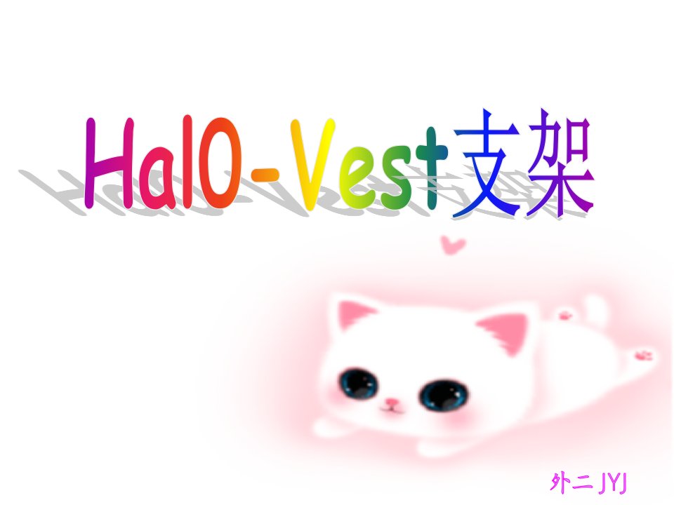 halo-vest支架-PPT课件(精)