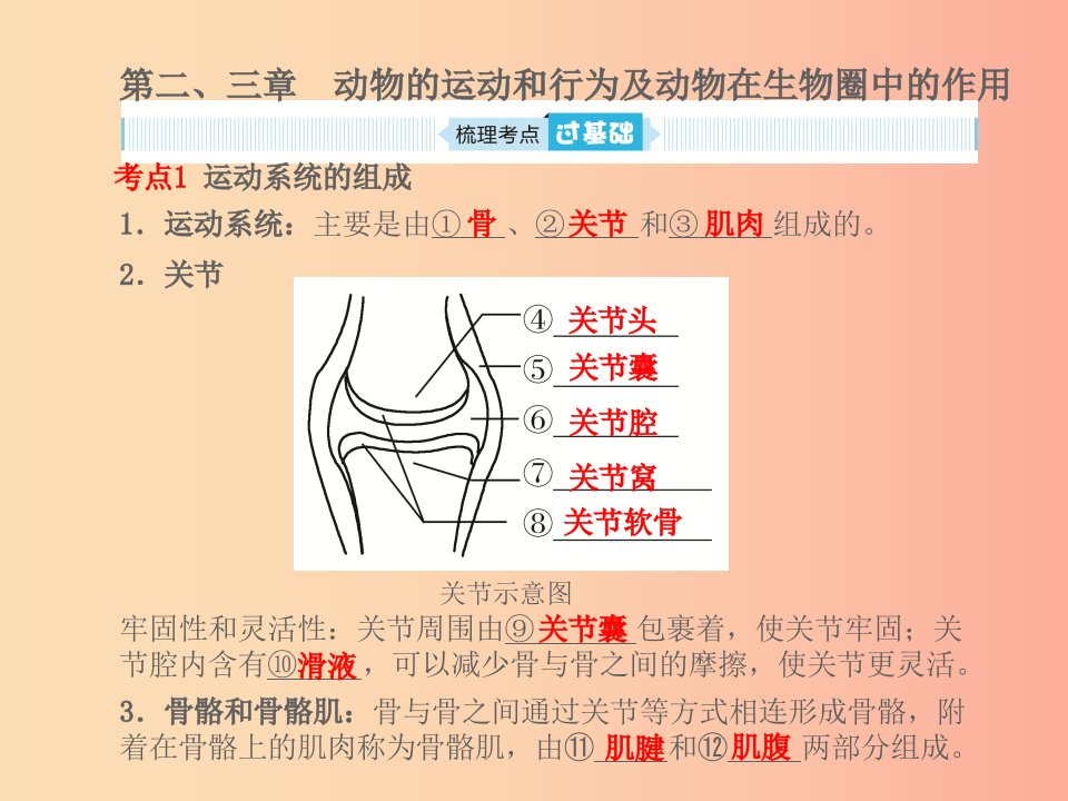 聊城专版山东省2019年中考生物总复习第五单元生物圈中的其他生物第二_三章课件