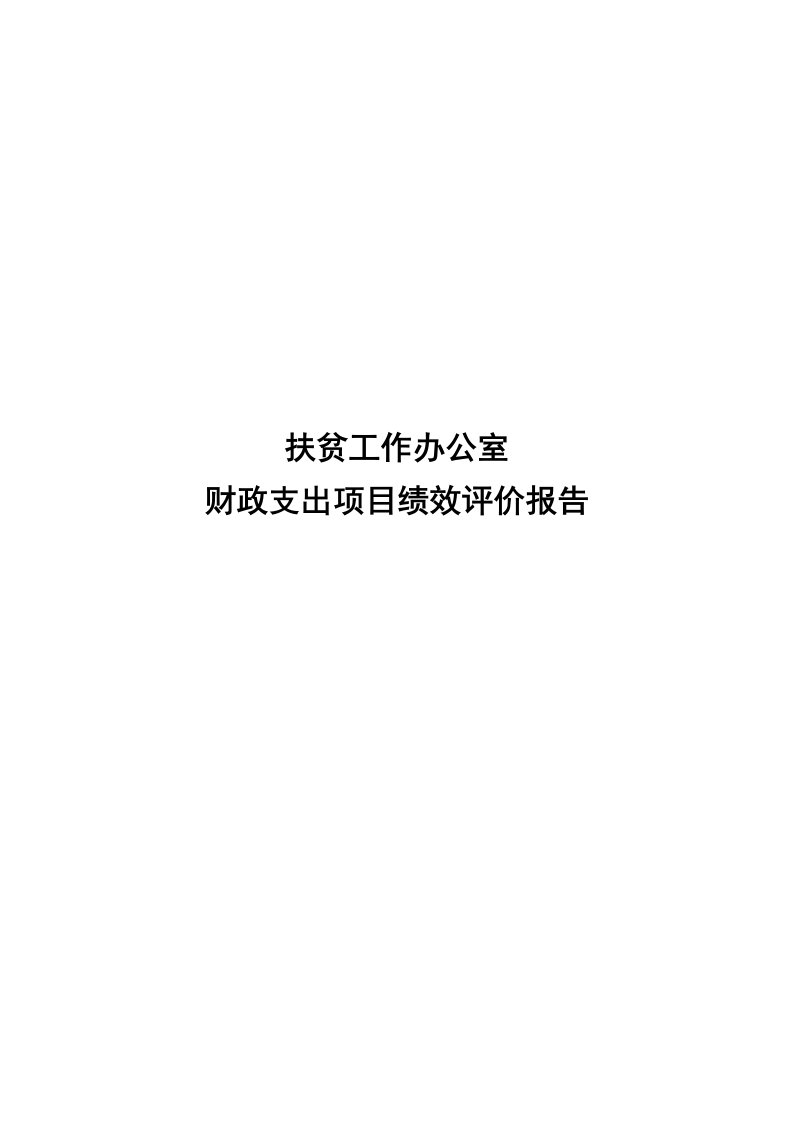 扶贫工作办公室财政支出项目绩效评价报告