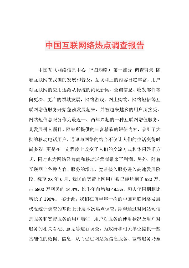 中国互联网络热点调查报告