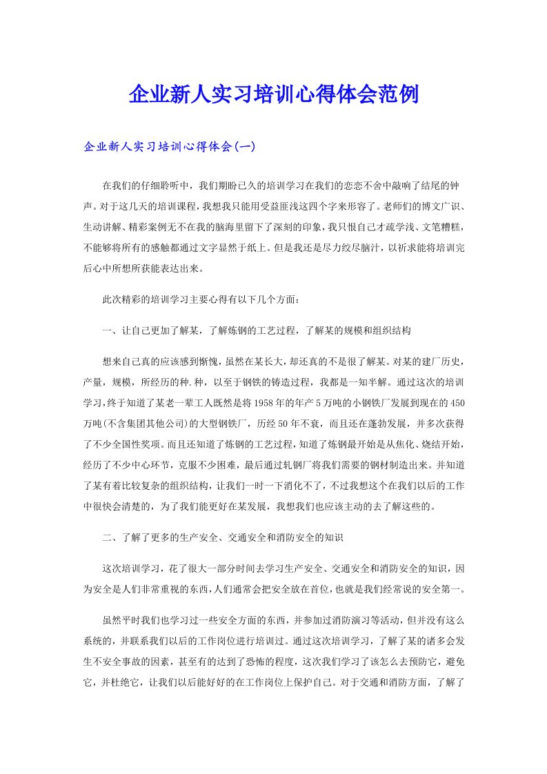 企业新人实习培训心得体会范例