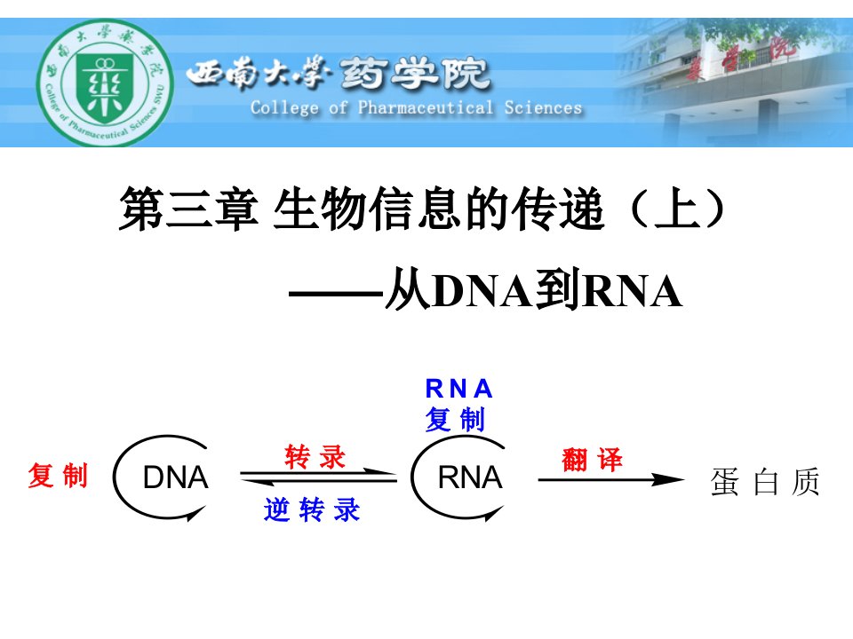 现代分子生物学_课件(3)生物信息的传递(上)