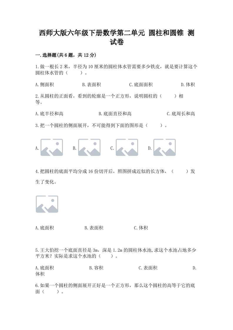 西师大版六年级下册数学第二单元