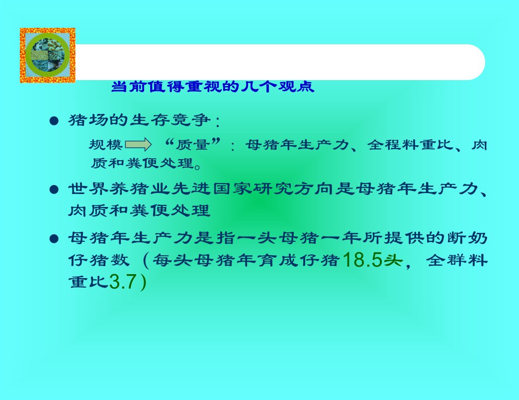 母猪的饲养管理PPT课件教学文案