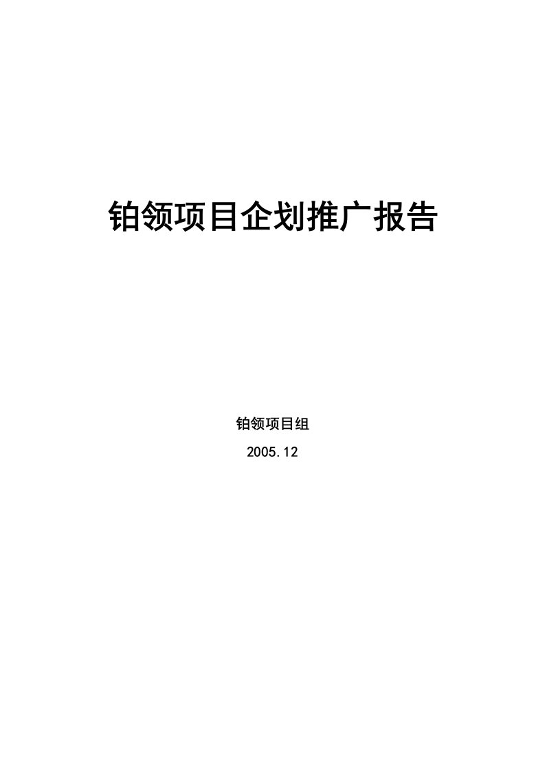 铂领项目企划推广报告